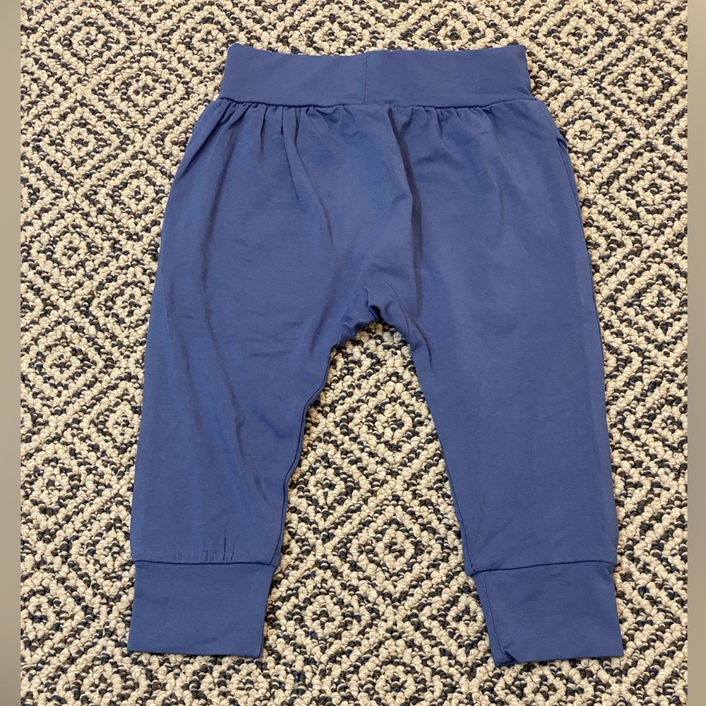 🎉 NWOT! 🎉 Sweet Bamboo 6-12M Pants